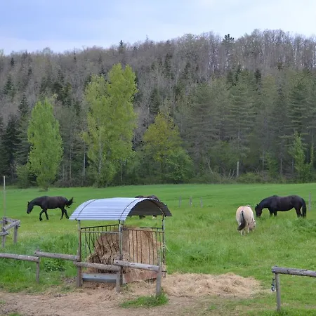 Gite Au Lac Du Gouyre