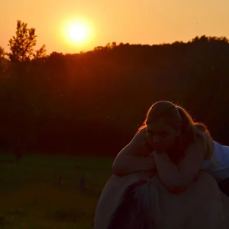 Tatil Evi Gite Au Lac Du Gouyre Puygaillard-de-Quercy