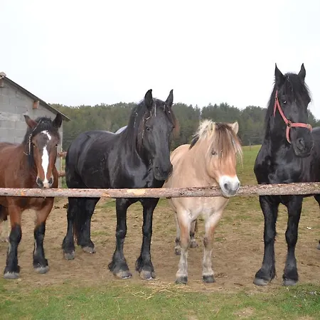 Hébergement de vacances Au Du Gouyre