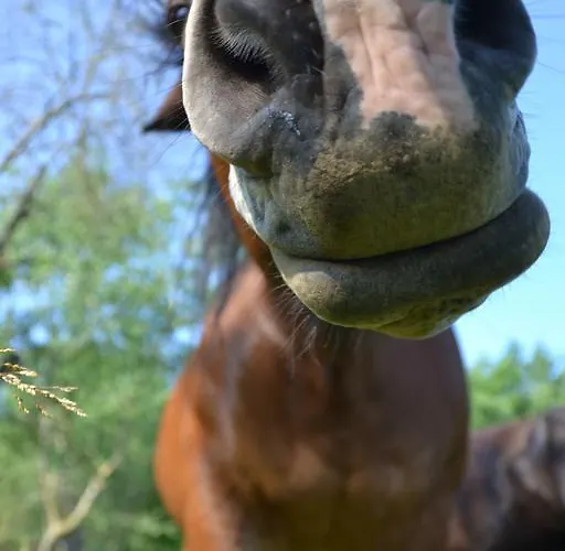 Casa vacanze Au Du Gouyre